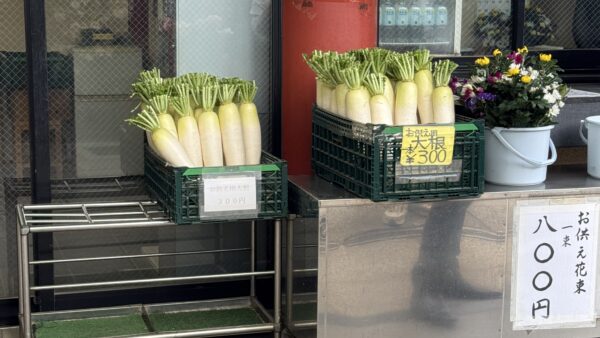 こんにちは4月も半ばを過ぎようとしている今日は